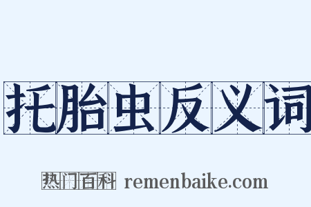 托胎虫反义词是什么意思的图片